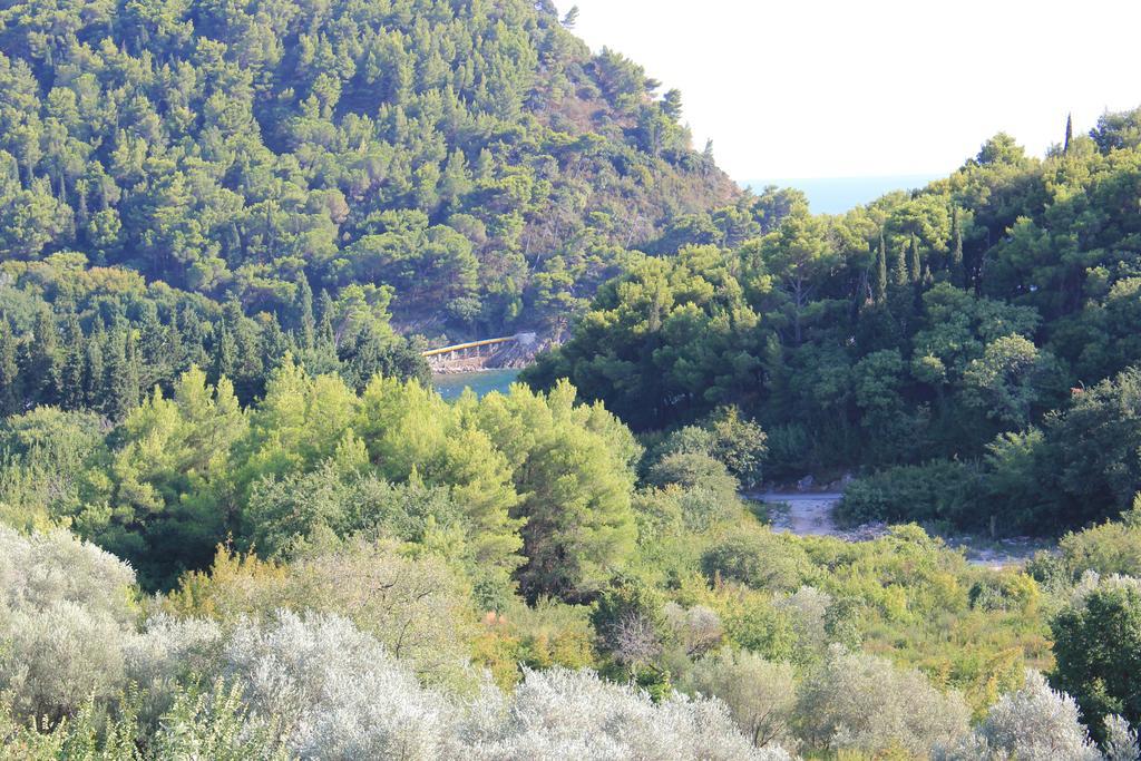 4m Apartment Petrovac na moru